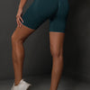 BodyCurve Scrunch Shorts – BlueGreen